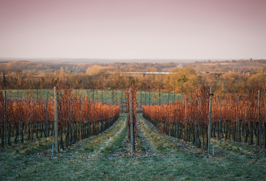 Westwell Winery