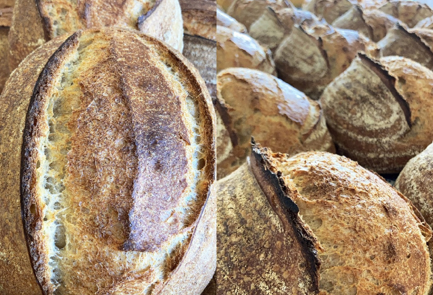 Bradbourne Bakery