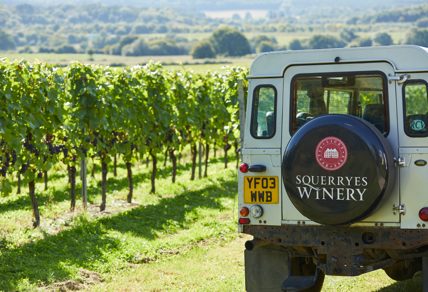 Squerryes Wine Estate